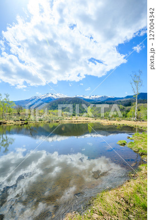 初夏のまいめの池　長野県松本市 127004342