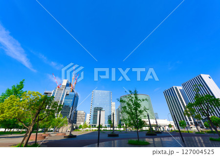 【神奈川県】5月・早朝にタワーマンションやオフィスビルが立ち並ぶ、高島中央公園周辺を散歩 127004525