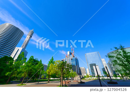 【神奈川県】5月・早朝にタワーマンションやオフィスビルが立ち並ぶ、高島中央公園周辺を散歩 127004526