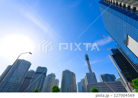 【神奈川県】5月・早朝にタワーマンションやオフィスビルが立ち並ぶ、高島中央公園周辺を散歩 127004569