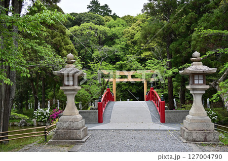 伊太祁曽神社の参道 127004790
