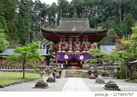 丹生都比売神社の社殿 127004797