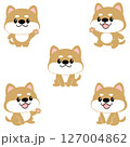 柴犬　豆しば　セット　犬　かわいい　動物　キャラクター　主線なし 127004862