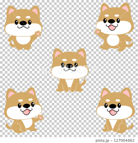 柴犬　豆しば　セット　犬　かわいい　動物　キャラクター　主線なし 127004862