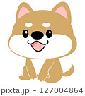 柴犬　豆しば　犬　かわいい　動物　キャラクター　主線なし 127004864