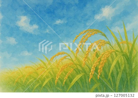 稲穂 127005132