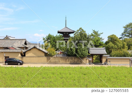 斑鳩の里・法起寺・国宝三重塔【奈良県・斑鳩町】 127005585