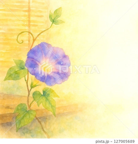 夏イメージの花水彩で描いた朝顔8 127005689
