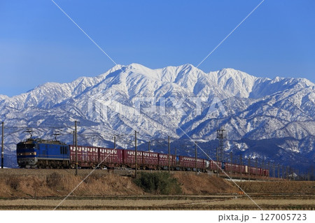 あいの風とやま鉄道の立山連峰バックを走るEF510の貨物列車 あいの風とやま鉄道の立山連峰バックを走るEF510の貨物列車 127005723