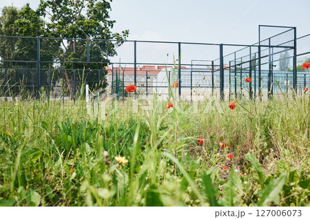 Field of grass with a fence in the background 127006073