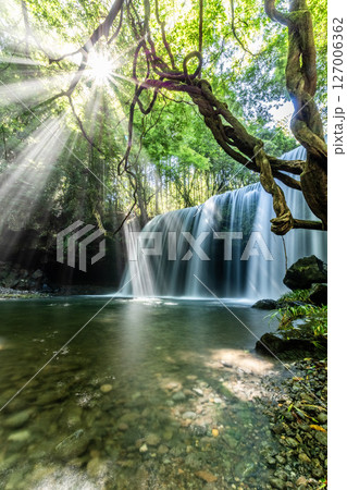 光芒差し込む熊本・鍋ヶ滝の清流と新緑の絶景 127006362