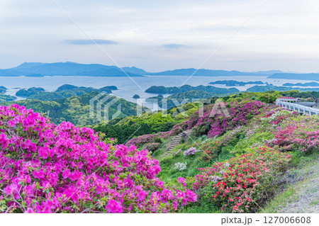 （長崎県）長串山公園（なぐしやま公園）のツツジと北九十九島　早朝 127006608
