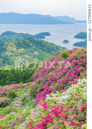 (長崎県)長串山公園(なぐしやま公園)のツツジと北九十九島 早朝 (長崎県)長串山公園(なぐしやま公園)のツツジと北九十九島 早朝 127006615