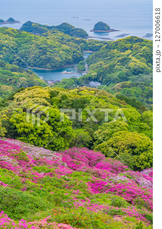 (長崎県)長串山公園(なぐしやま公園)のツツジと北九十九島 早朝 (長崎県)長串山公園(なぐしやま公園)のツツジと北九十九島 早朝 127006618
