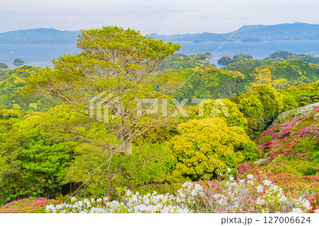 （長崎県）長串山公園（なぐしやま公園）のツツジと北九十九島　早朝 127006624