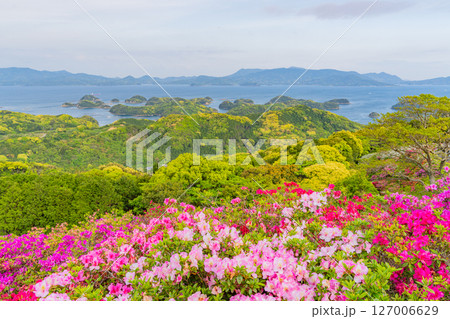 （長崎県）長串山公園（なぐしやま公園）のツツジと北九十九島　早朝 127006629