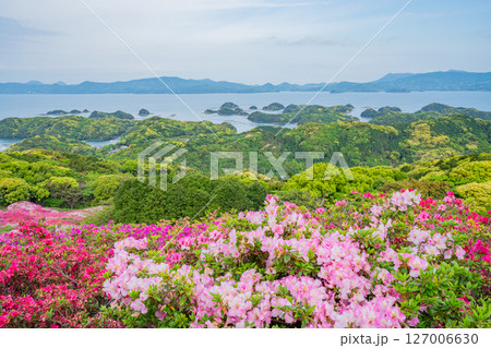 (長崎県)長串山公園(なぐしやま公園)のツツジと北九十九島 早朝 (長崎県)長串山公園(なぐしやま公園)のツツジと北九十九島 早朝 127006630
