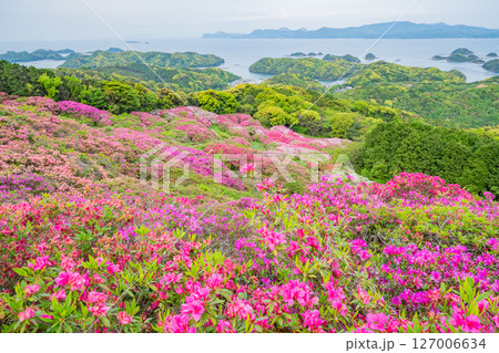 （長崎県）長串山公園（なぐしやま公園）のツツジと北九十九島　早朝 127006634