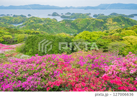 (長崎県)長串山公園(なぐしやま公園)のツツジと北九十九島 早朝 (長崎県)長串山公園(なぐしやま公園)のツツジと北九十九島 早朝 127006636
