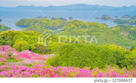 (長崎県)長串山公園(なぐしやま公園)のツツジと北九十九島 早朝 (長崎県)長串山公園(なぐしやま公園)のツツジと北九十九島 早朝 127006637