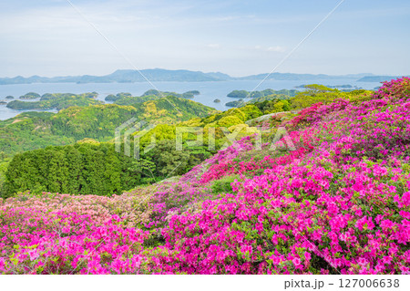 (長崎県)長串山公園(なぐしやま公園)のツツジと北九十九島 早朝 (長崎県)長串山公園(なぐしやま公園)のツツジと北九十九島 早朝 127006638