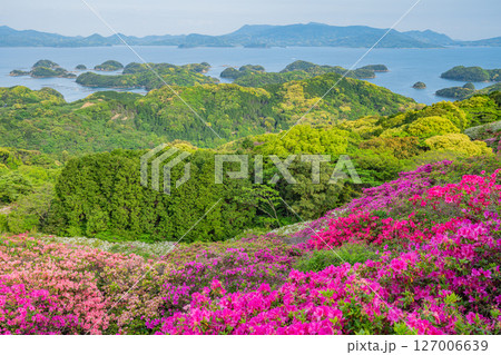 （長崎県）長串山公園（なぐしやま公園）のツツジと北九十九島　早朝 127006639