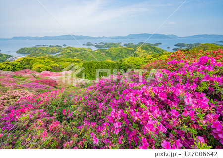 (長崎県)長串山公園(なぐしやま公園)のツツジと北九十九島 早朝 (長崎県)長串山公園(なぐしやま公園)のツツジと北九十九島 早朝 127006642