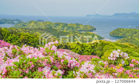 （長崎県）長串山公園（なぐしやま公園）のツツジと北九十九島　早朝 127006644