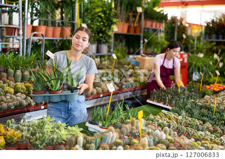Young girl choosing ornamental potted aloes in garden store Young girl choosing ornamental potted aloes in garden store 127006833