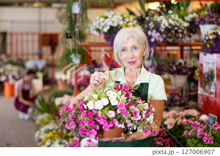 Smiling aged floral market saleswoman offering blooming petunia 127006907