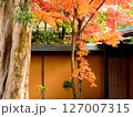 紅葉のある庭 紅葉のある庭 127007315