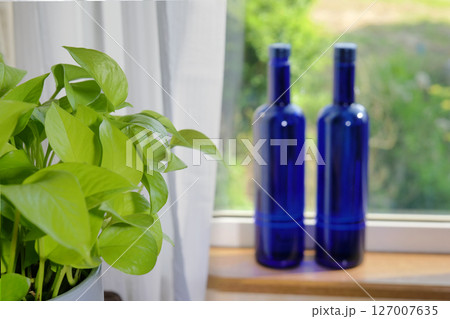 窓辺に並ぶブルーソーラーウォーターと観葉植物のポトス 127007635