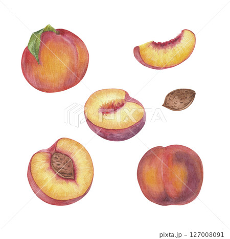 Peach fruit watercolor isolated on white background Peach fruit watercolor isolated on white background 127008091