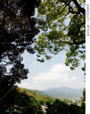 新緑の山並み 127008964