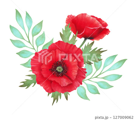 Red poppy composition with bud, turquoise branch. Botanical herbaceous plant art. Watercolor illustration. Hand drawn isolated art. Symbolism of memory and peace. Wild flowers for packaging, postcard. Red poppy composition with bud, turquoise branch. Botanical herbaceous plant art. Watercolor illustration. Hand drawn isolated art. Symbolism of memory and peace. Wild flowers for packaging, postcard. 127009062