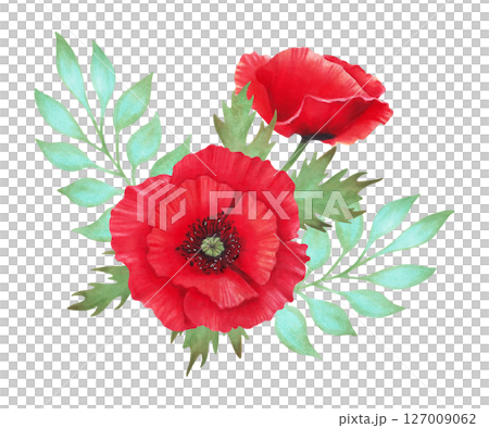 Red poppy composition with bud, turquoise branch. Botanical herbaceous plant art. Watercolor illustration. Hand drawn isolated art. Symbolism of memory and peace. Wild flowers for packaging, postcard. 127009062