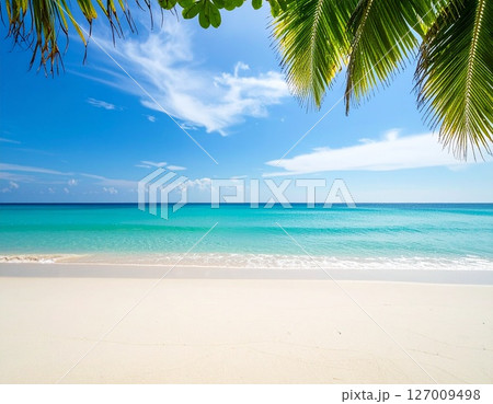 エメラルドに輝く海と砂浜とヤシの木 127009498