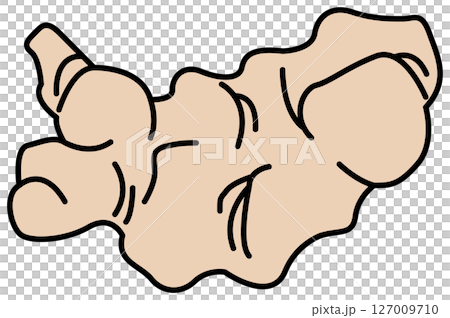 用平面顏色繪製的薑插圖 127009710