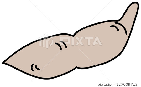 フラットカラーで描かれた枝豆のイラスト フラットカラーで描かれた枝豆のイラスト 127009715