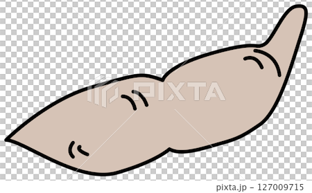 フラットカラーで描かれた枝豆のイラスト フラットカラーで描かれた枝豆のイラスト 127009715
