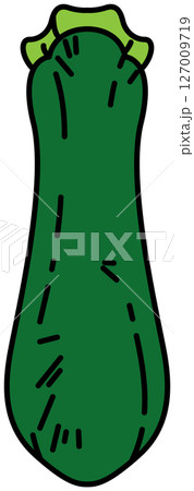 フラットカラーで描かれたズッキーニのイラスト 127009719