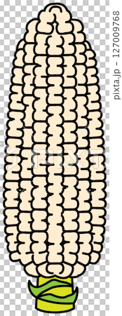 以平面顏色繪製的玉米插圖 以平面顏色繪製的玉米插圖 127009768