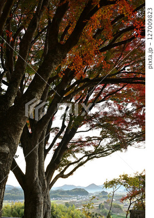 王地山展望台からの風景 王地山展望台からの風景 127009823
