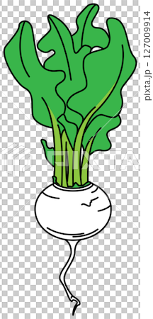 用平面顏色繪製的蘿蔔插圖 127009914