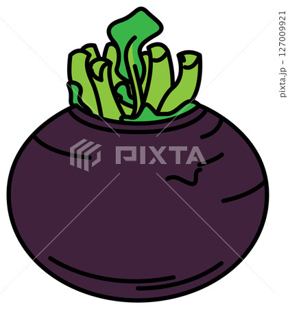 フラットカラーで描かれたかぶのイラスト フラットカラーで描かれたかぶのイラスト 127009921