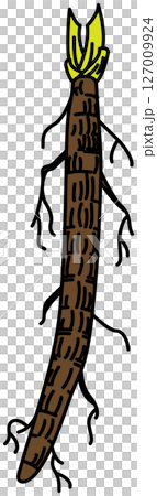 Burdock illustration drawn in flat color Burdock illustration drawn in flat color 127009924
