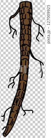Burdock illustration drawn in flat color Burdock illustration drawn in flat color 127009925