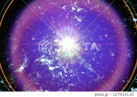 逆光 樹木_23 127010110