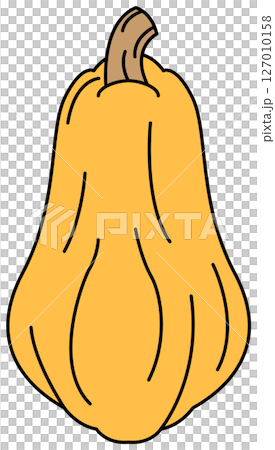 Pumpkin illustration drawn in flat colors 127010158