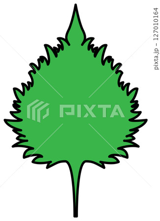 フラットカラーで描かれた紫蘇のイラスト 127010164